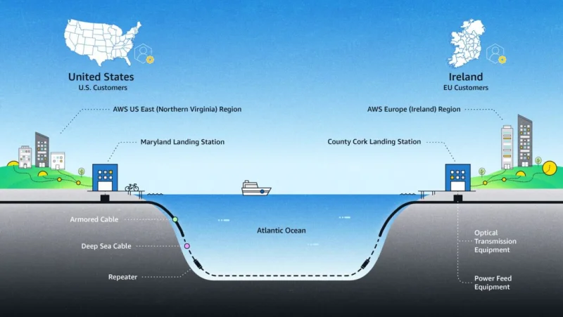  Источник изображения: Amazon 