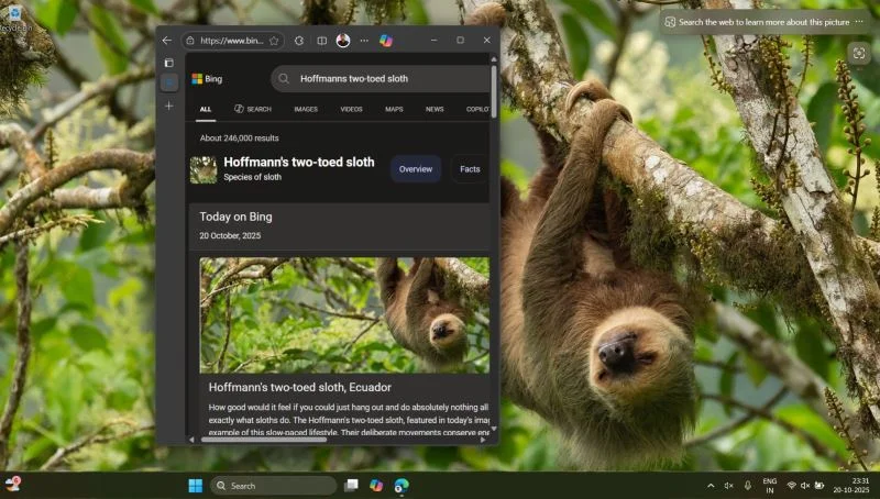  Источник изображений: windowslatest.com 