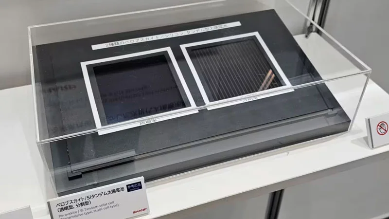  Источник изображения: Sharp 