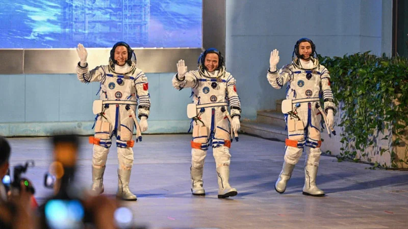 Мыши-астронавты: короткая командировка на орбиту вместе с тайконавтами