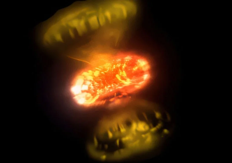  Художественная интерпретация. Источник изображений: CHARA Array 