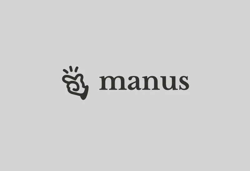  Источник изображения: Manus 