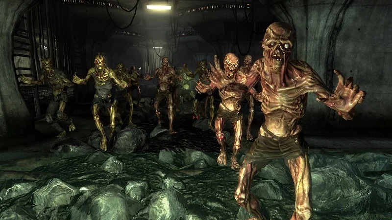  Источник изображения: Bethesda Softworks 