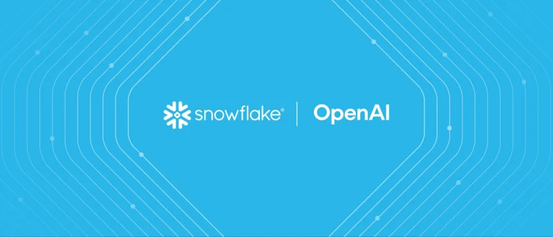  Источник изображения: Snowflake 