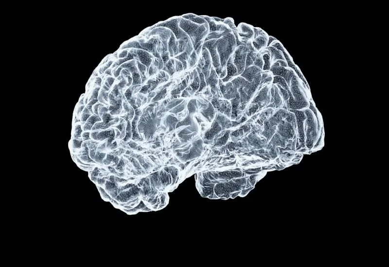  Источник изображения: Unsplash, Shawn Day 