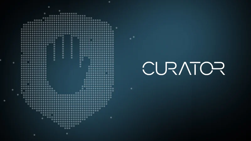  Источник изображения: Curator 